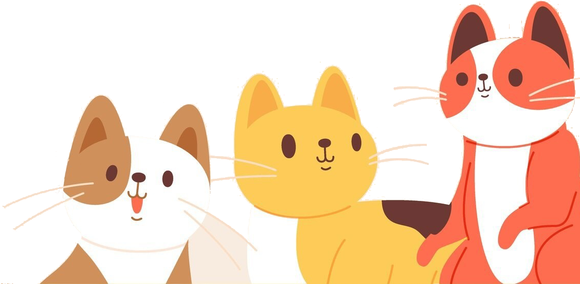 Cat Right